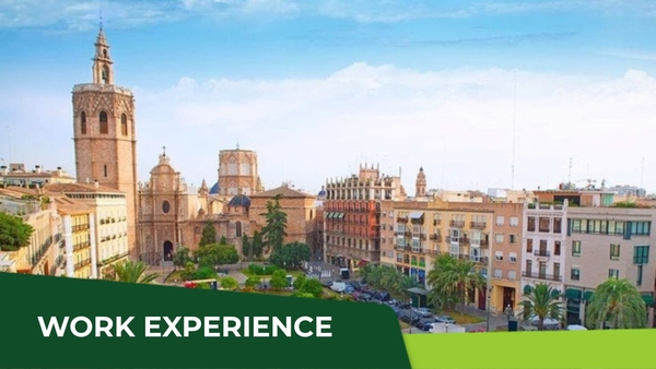 TWIN VALENCIA - Valencia